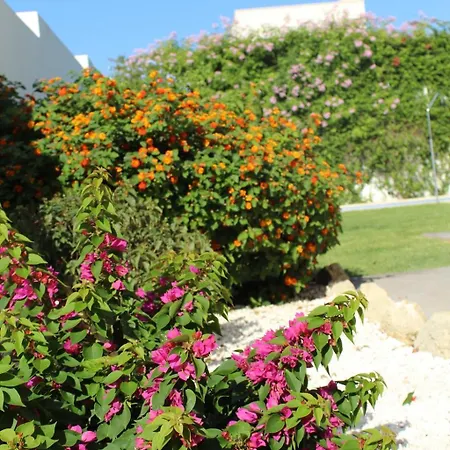 Spacious In With Private Pool Villa Conil De La Frontera
