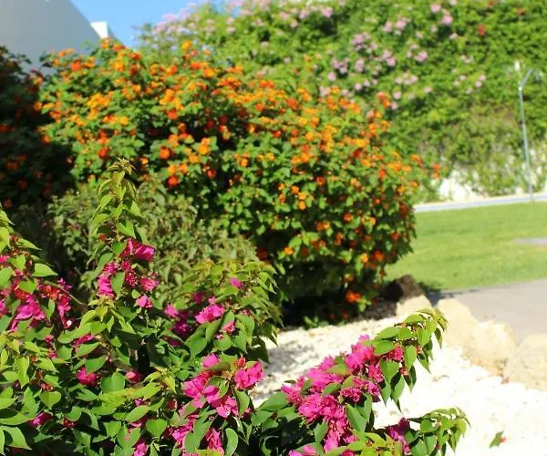 Spacious In With Private Pool * Conil De La Frontera