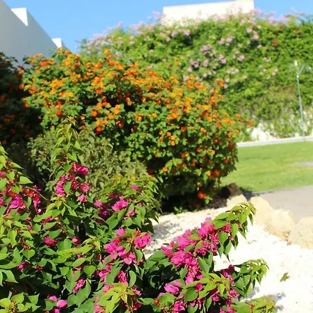 Spacious In With Private Pool * Conil De La Frontera
